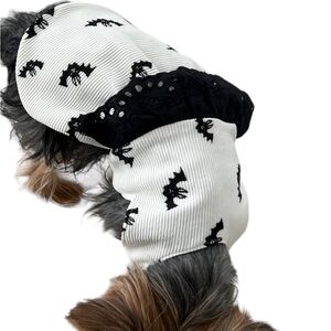 Halloween season dress